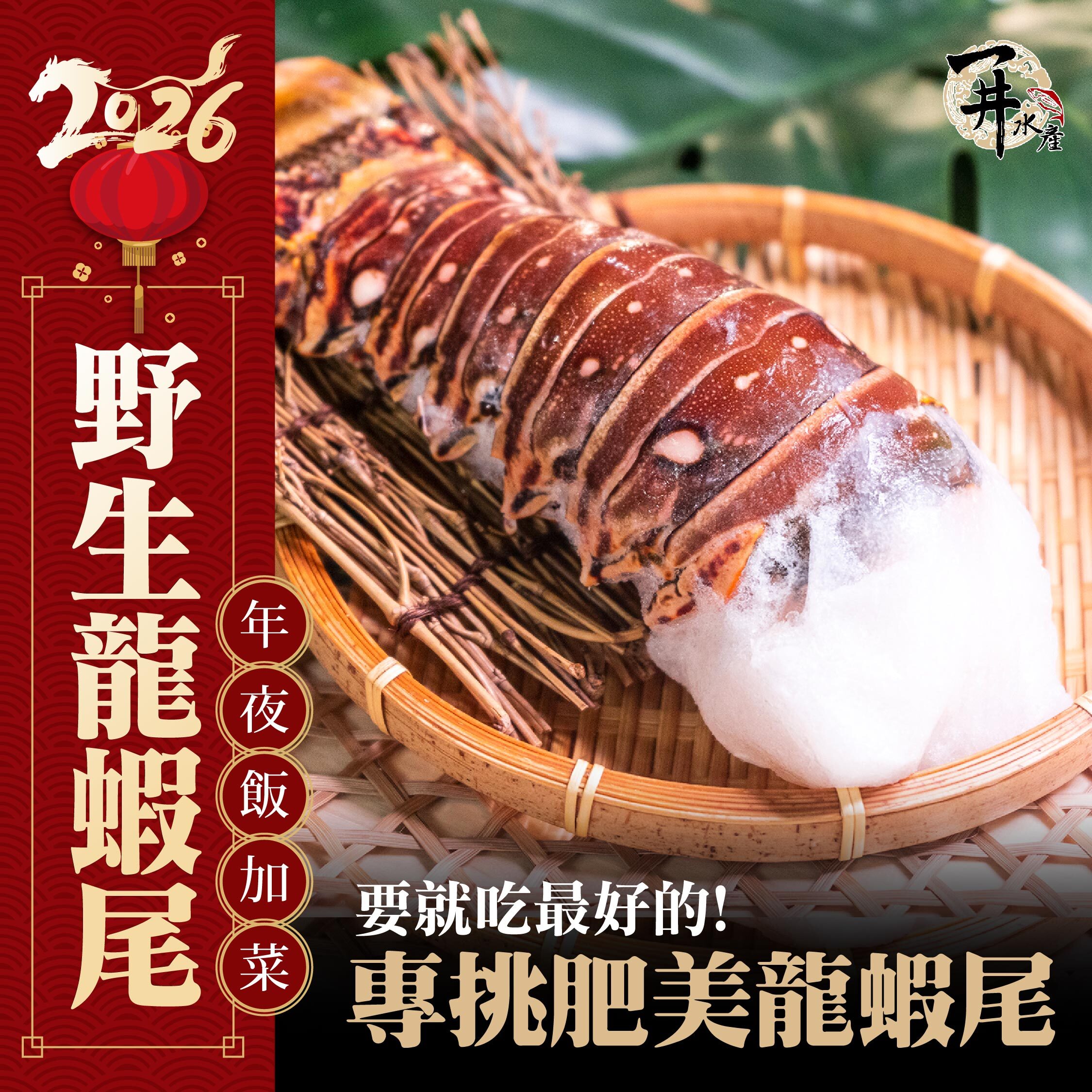 巴西 生凍野生龍蝦身