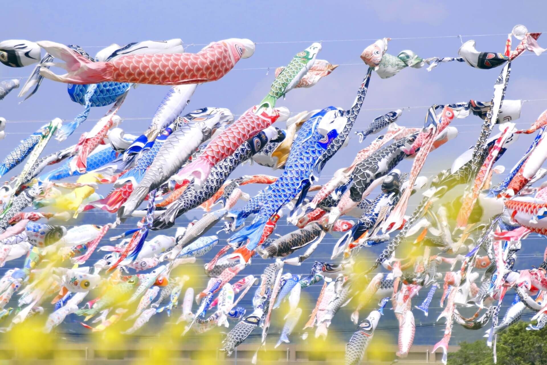 2026日本黃金週-鯉魚旗飄揚於風中