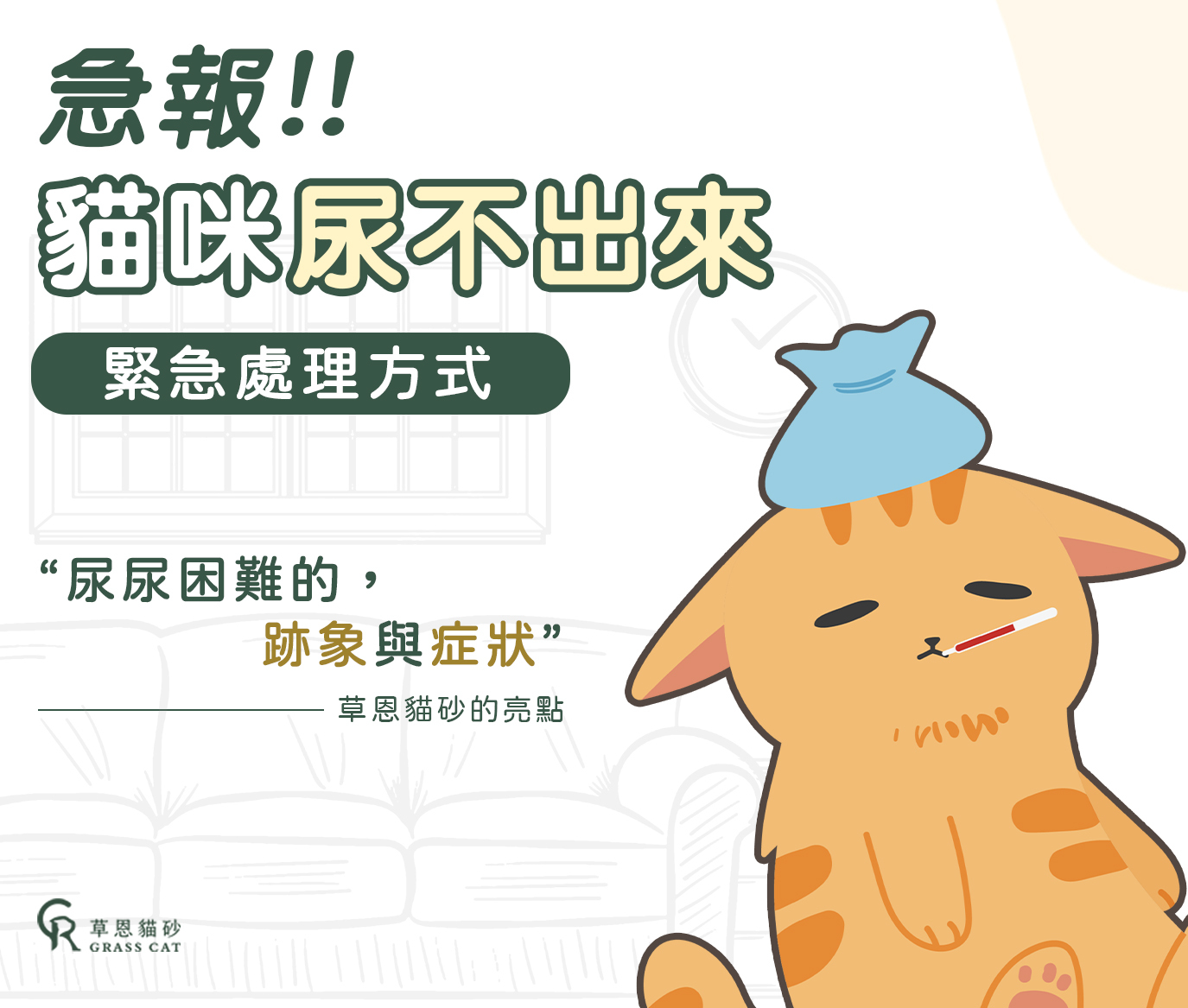 貓咪尿不出來怎麼辦? 文章將會告訴你緊急處理方式以及貓尿不出來的常見原因