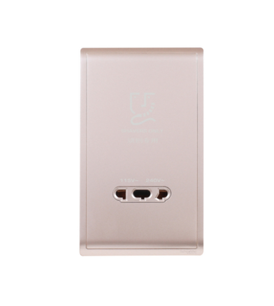 PIENO豐尚鬚刨蘇115V/240V