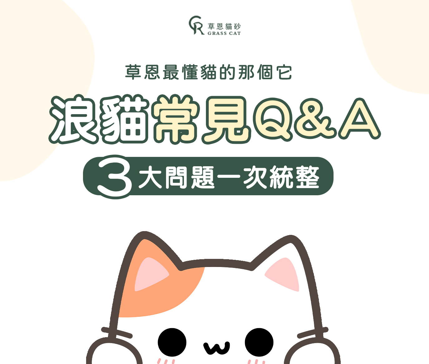 浪貓處理常見QA