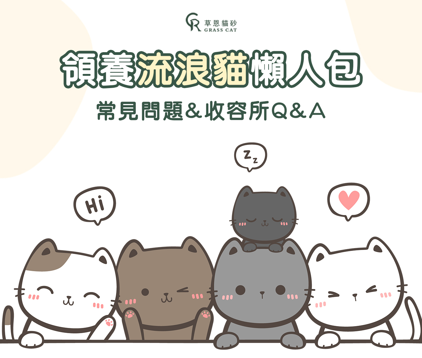 領養流浪貓懶人包