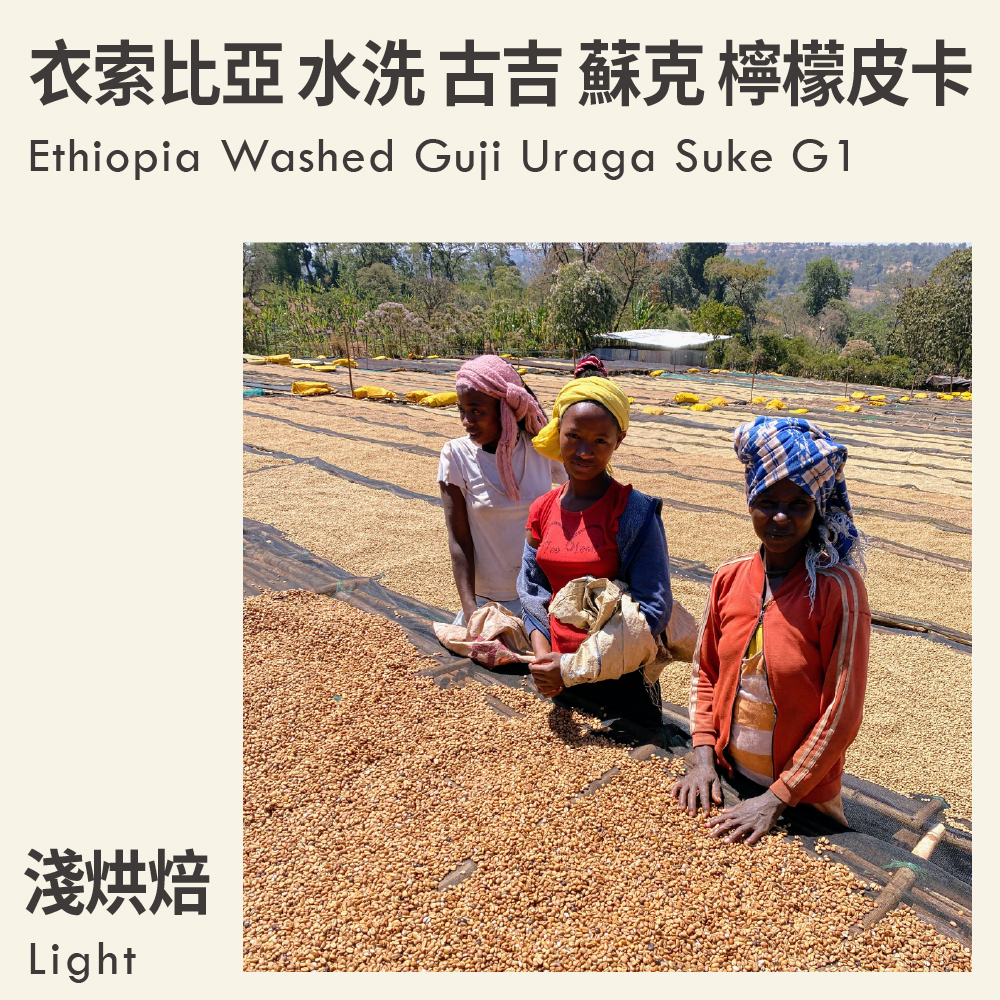 衣索比亞 水洗 古吉 烏拉嘎 蘇克 檸檬皮卡 G1