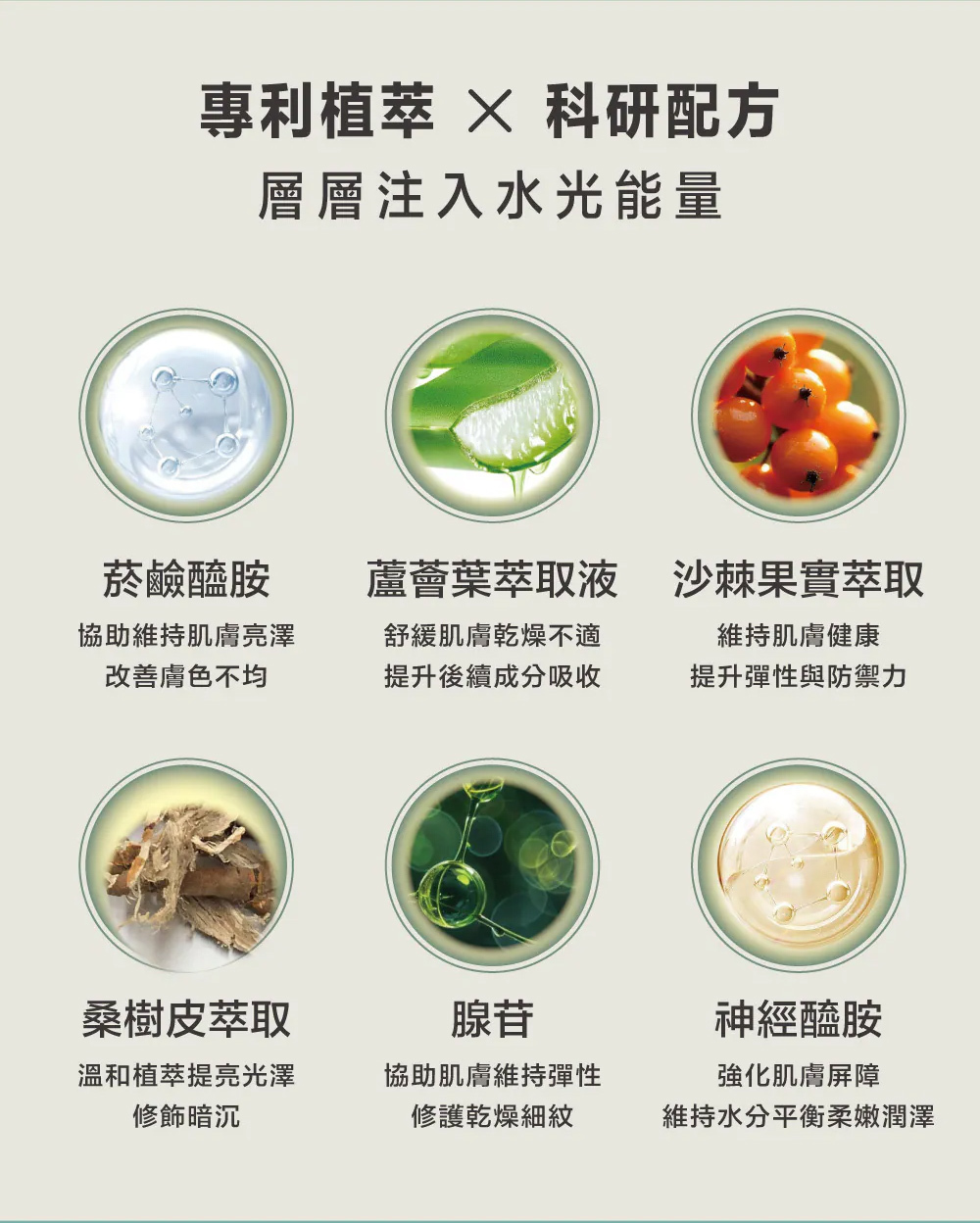 水光淨白科研配方成分：添加菸鹼醯胺、神經醯胺與沙棘果實萃取，層層注入水潤能量，提升肌膚彈性與防禦力