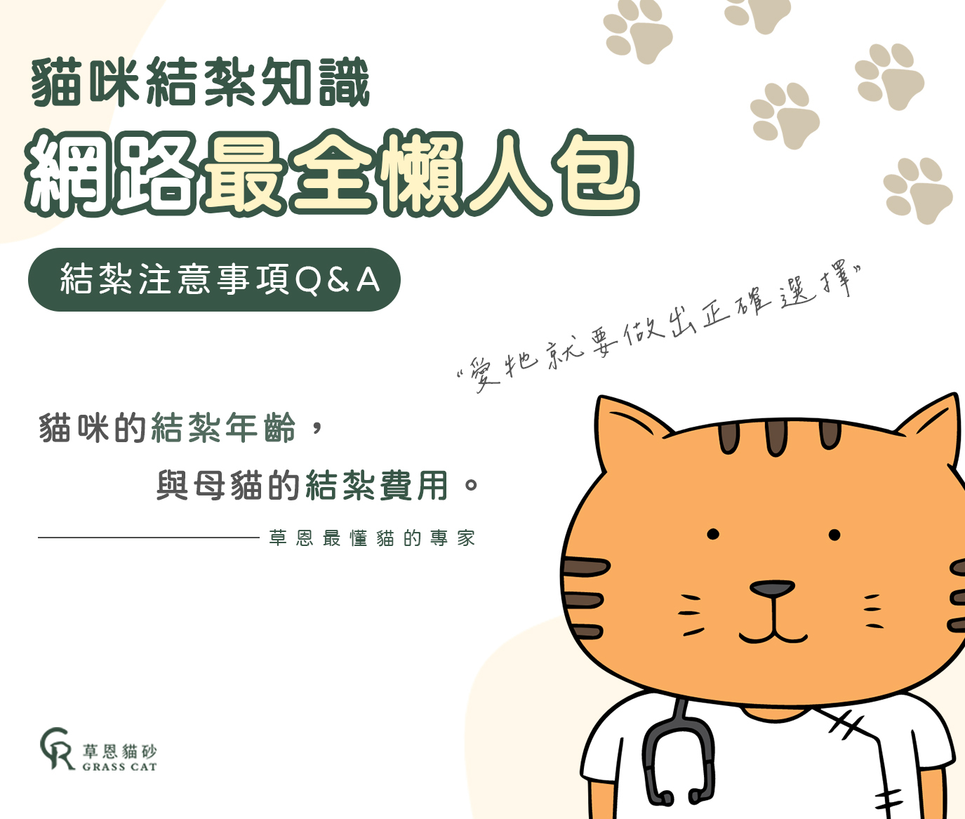 貓咪結紮網路最全懶人包！母貓結紮費用與年齡 | 結紮後注意事項Q&A。