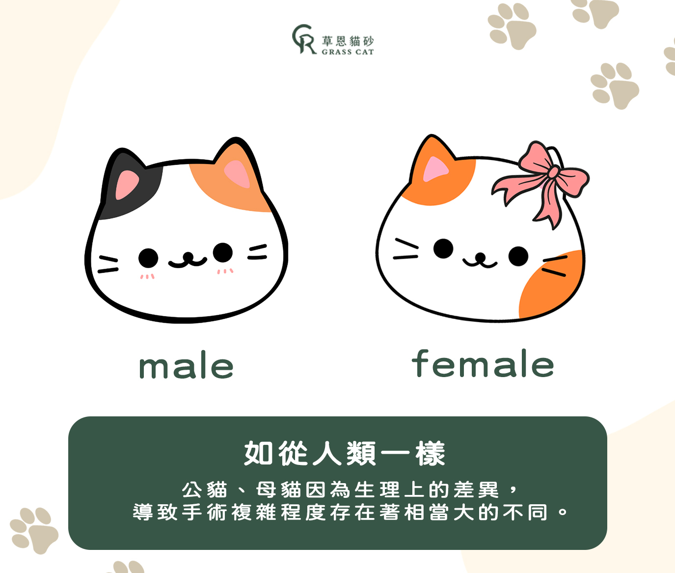 在第一次發情前結紮的話可以預防91%的健康風險，公貓為 “ 睪丸癌 ” 而母貓則是 “ 乳房腫瘤 ”，而如果是在第二次發情前則能降低86％的比例，可說是對比未結紮的貓相差甚遠，因此如果年紀已經滿六個月，且體重滿兩公斤就會建議進行實施手術。