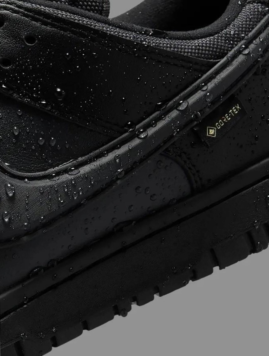 Nike Dunk Low Gore-Tex Triple "Black" 全黑 防水 HQ2053001