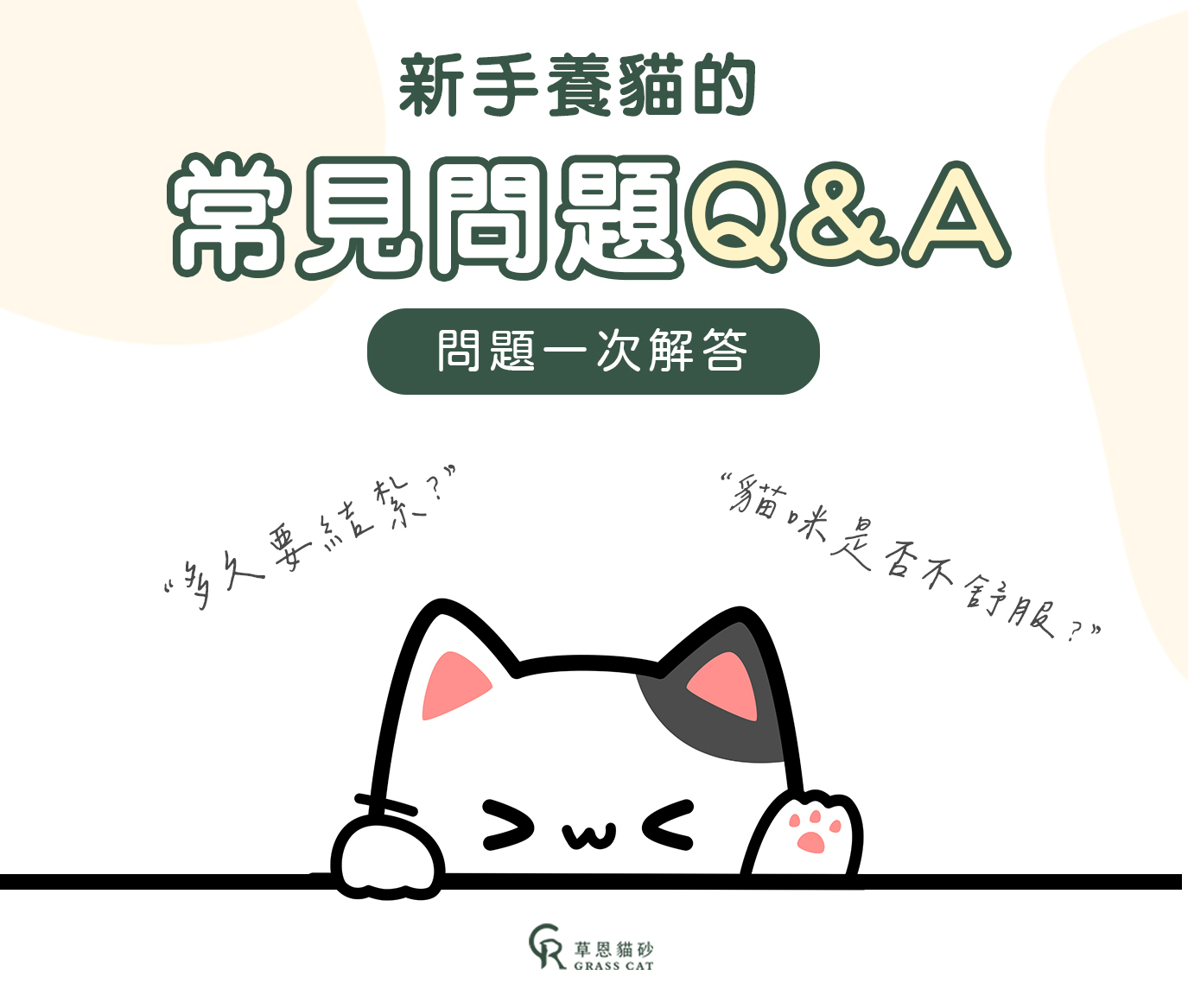 養貓常見QA