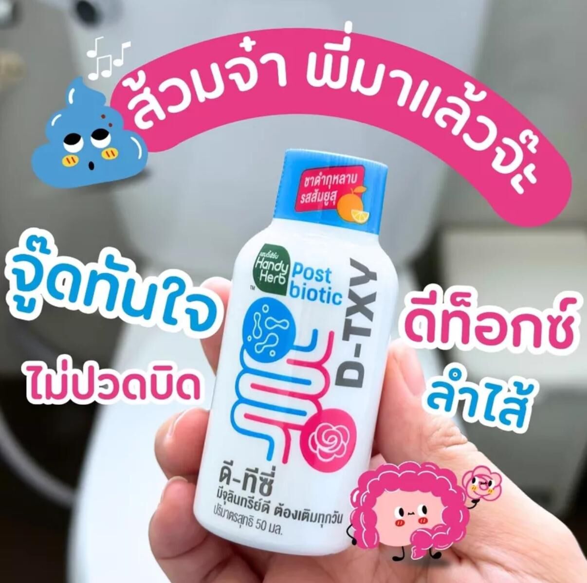 泰國 NIGHTNIGHT順暢益生菌養生飲 50ml (1pack 6支)