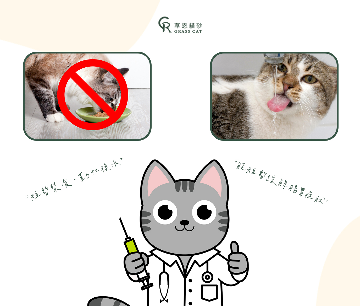 短暫禁食、勤加換水，能短暫緩解腸胃不適