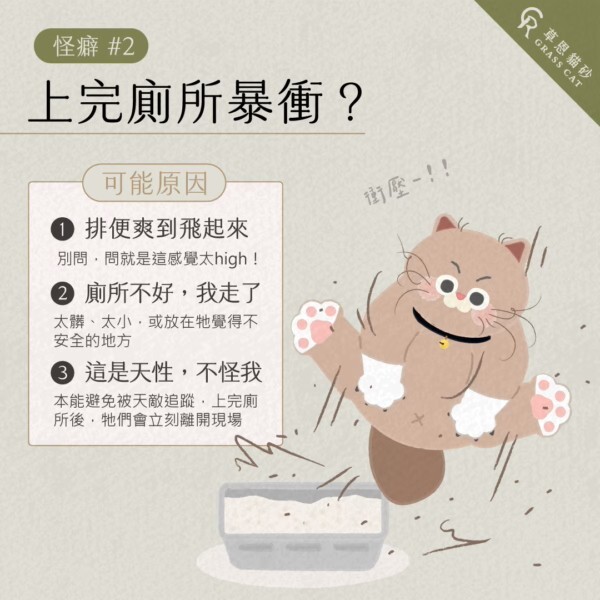怪癖二貓咪上完廁所會爆衝