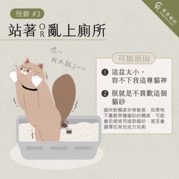 怪癖三有些貓咪會站著上廁所