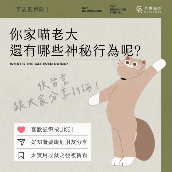 和草恩分享你家貓咪的怪癖
