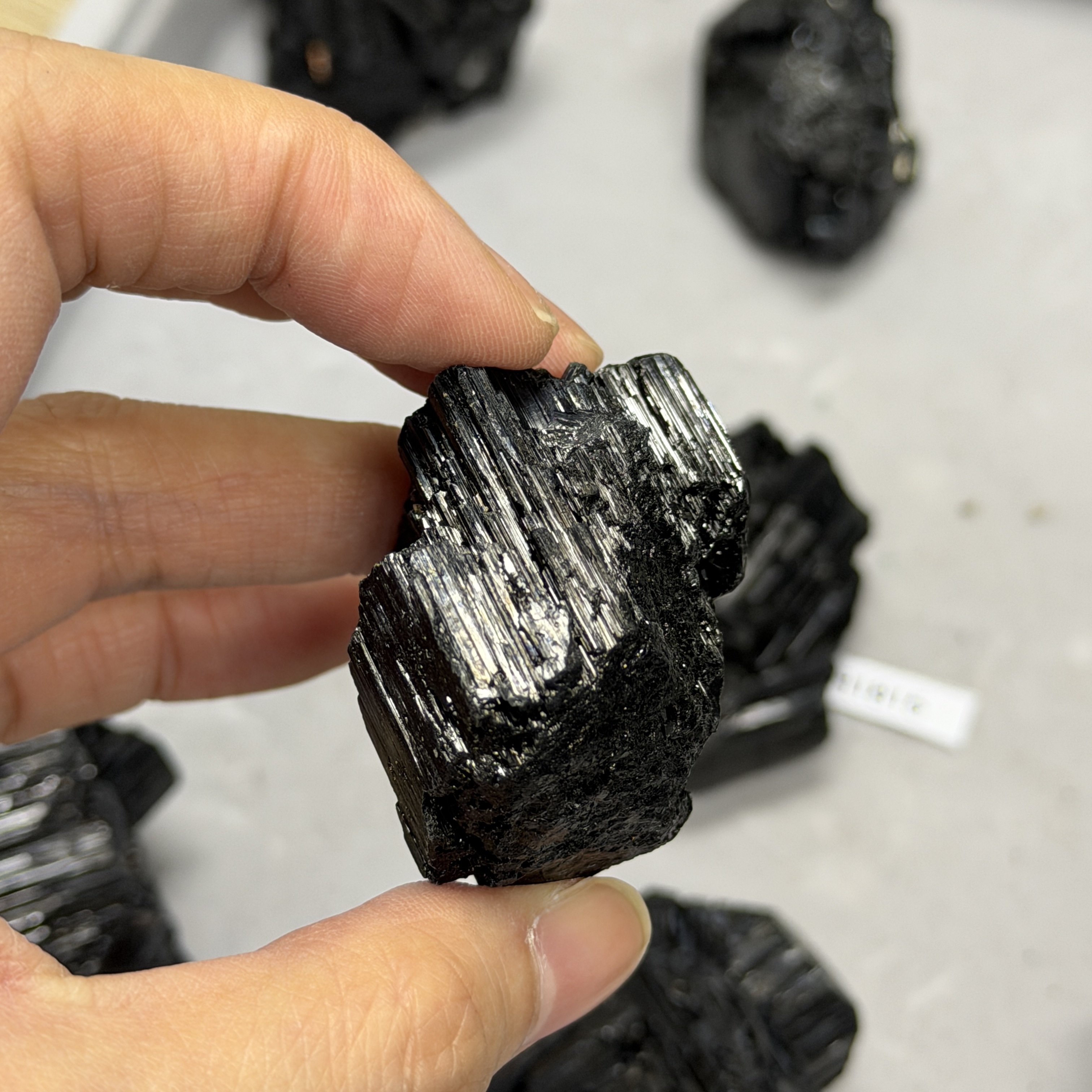 收藏品黑碧璽/電氣石礦標 TRR1816