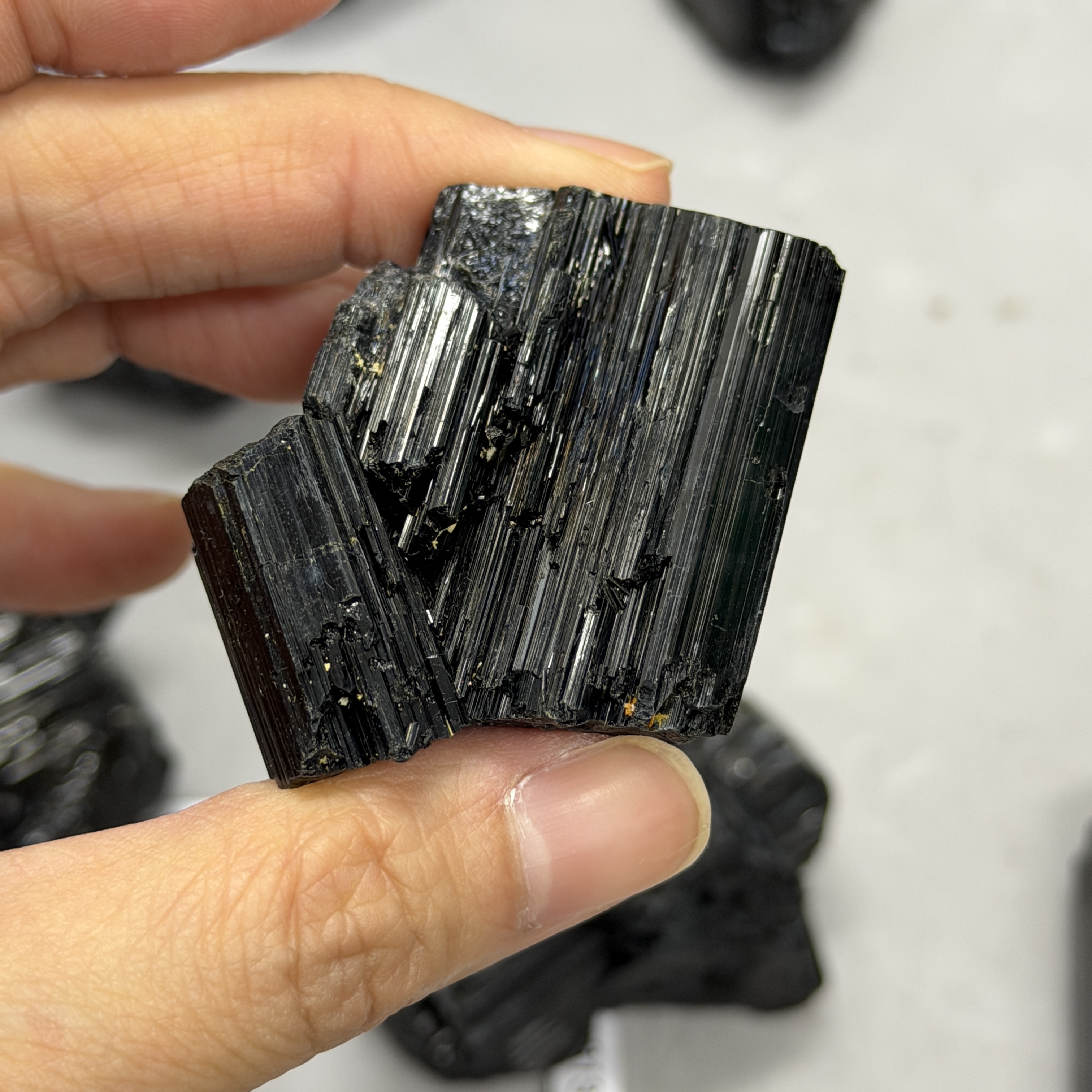 收藏品黑碧璽/電氣石礦標 TRR1815