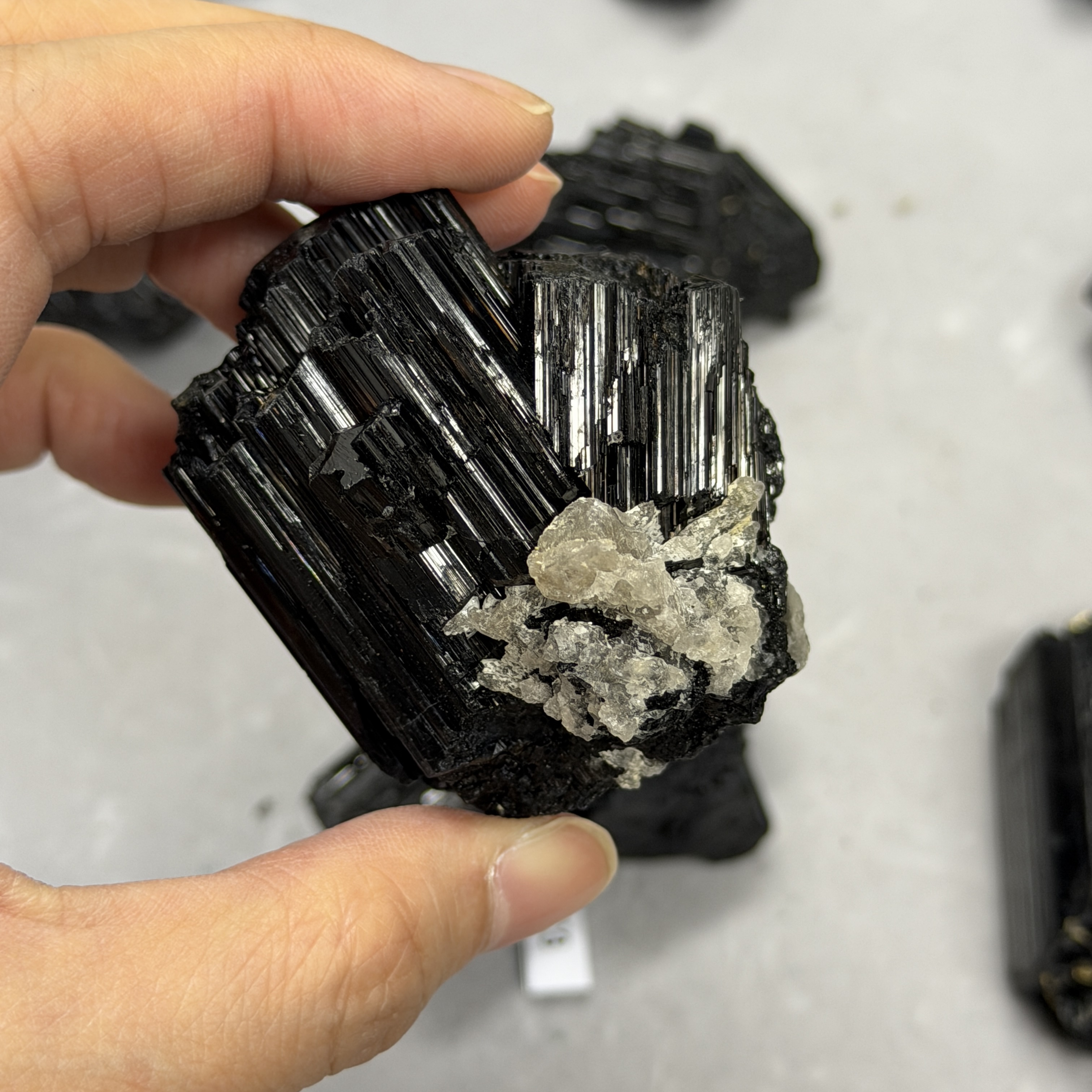 收藏品黑碧璽/電氣石礦標 TRR1814