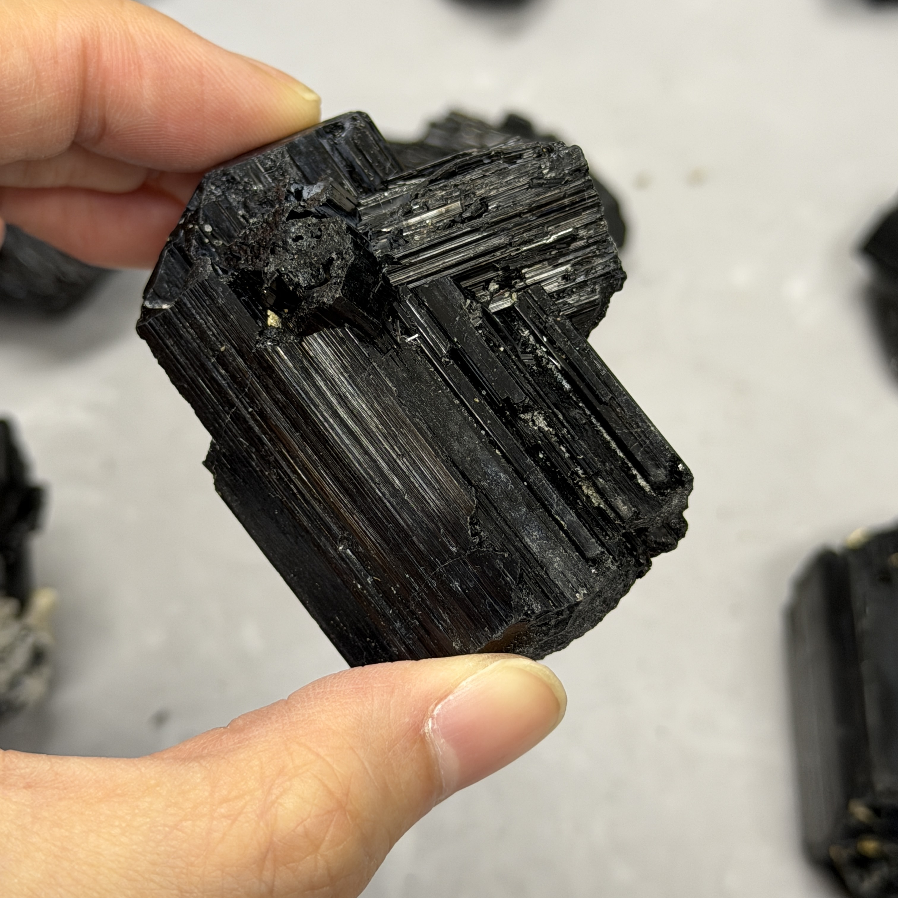 收藏品黑碧璽/電氣石礦標 TRR1813