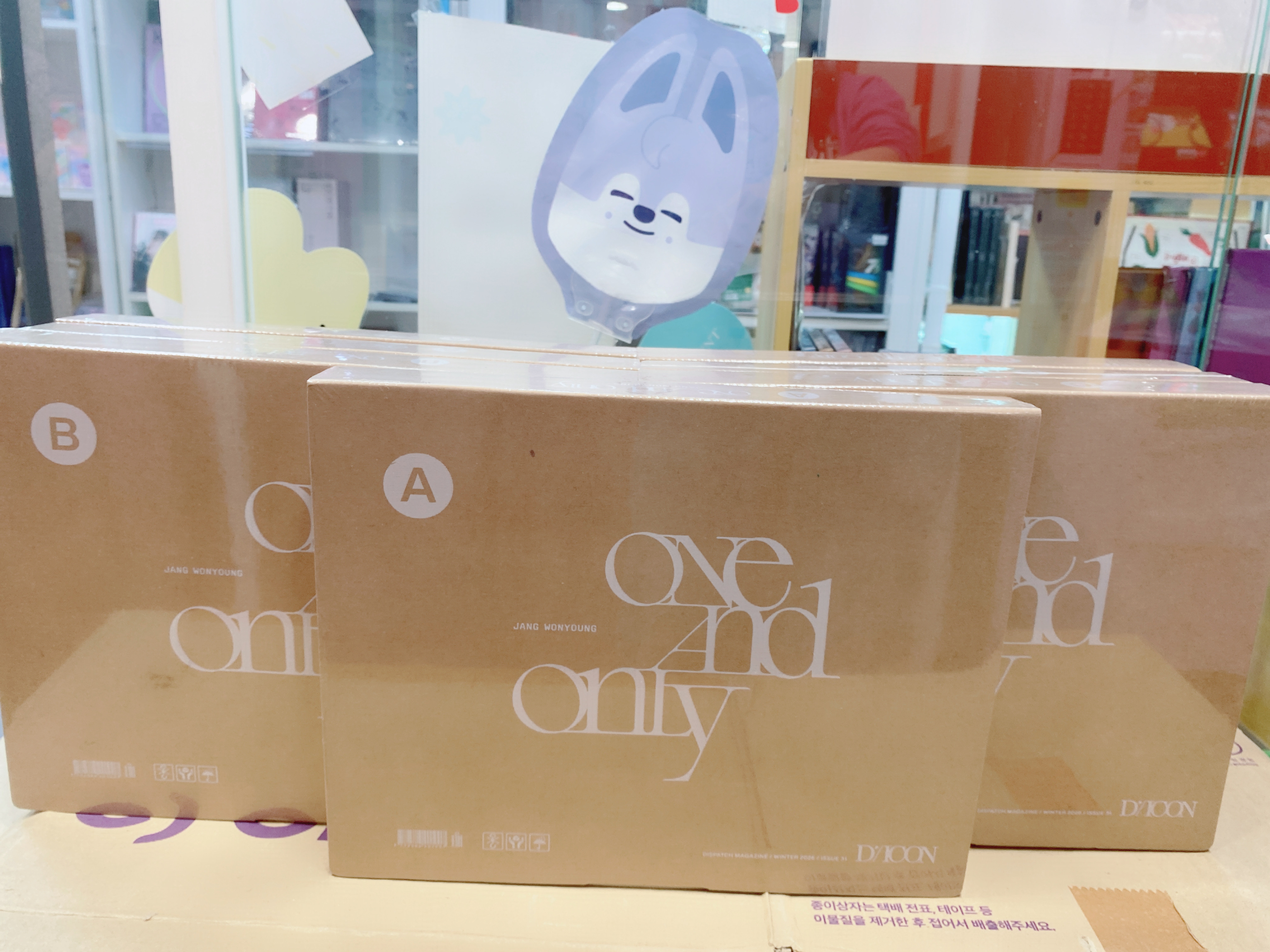 Jang Wonyoung One and only Dicon