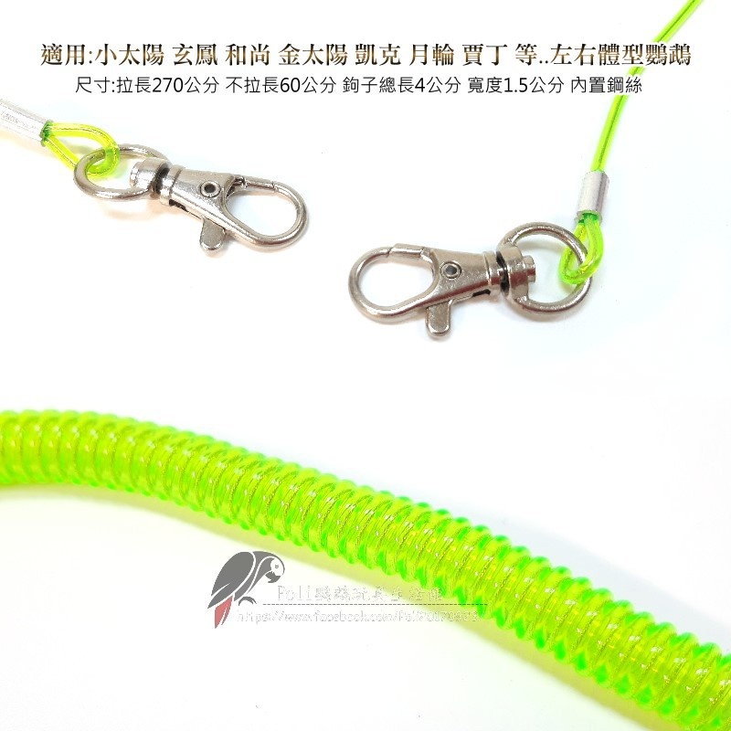 一般彈性外出繩 鸚鵡牽繩 外出繩 波力鸚鵡玩具生活館