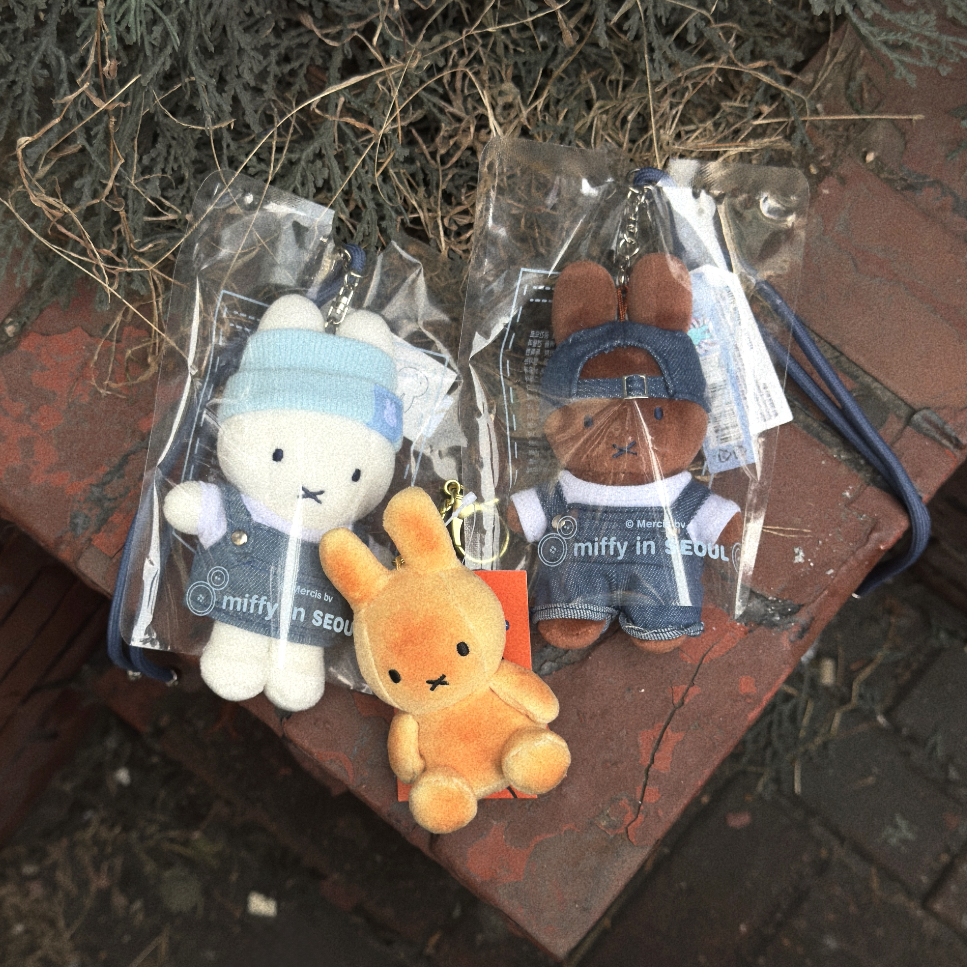 "現貨" 首爾限定 MIFFY 米飛兔 燒焦款 牛仔款