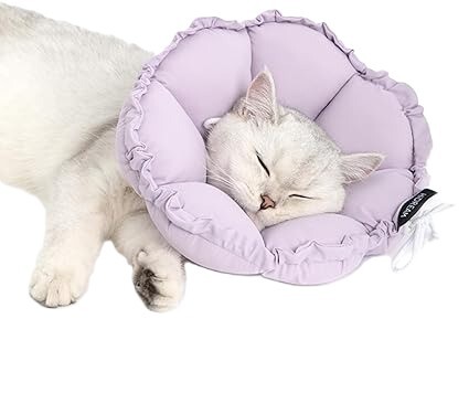 HIDREAM 貓狗通用伊莉莎白圈 - 紫色 M(3-6kg)