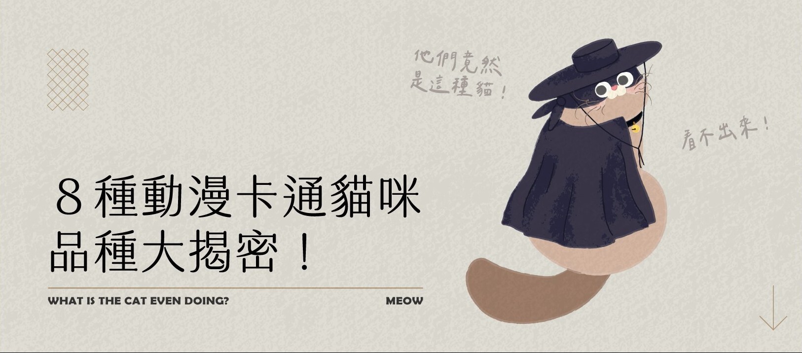 8種動漫卡通貓咪品種大揭秘：你熟悉的「動漫喵星人」到底是哪種貓？