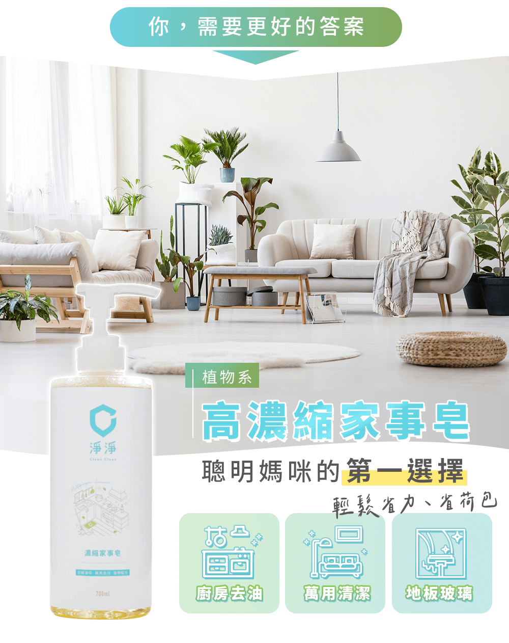 淨淨高濃縮家事皂