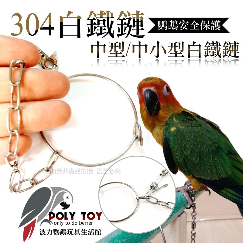 中型/中小型白鐵鏈 材質304白鐵鏈 鸚鵡用品 腳鍊用 鸚鵡安全腳鍊 波力鸚鵡玩具生活館