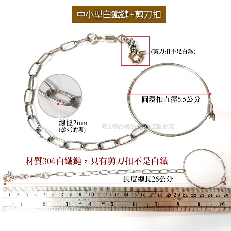 中型/中小型白鐵鏈 材質304白鐵鏈 鸚鵡用品 腳鍊用 鸚鵡安全腳鍊 波力鸚鵡玩具生活館