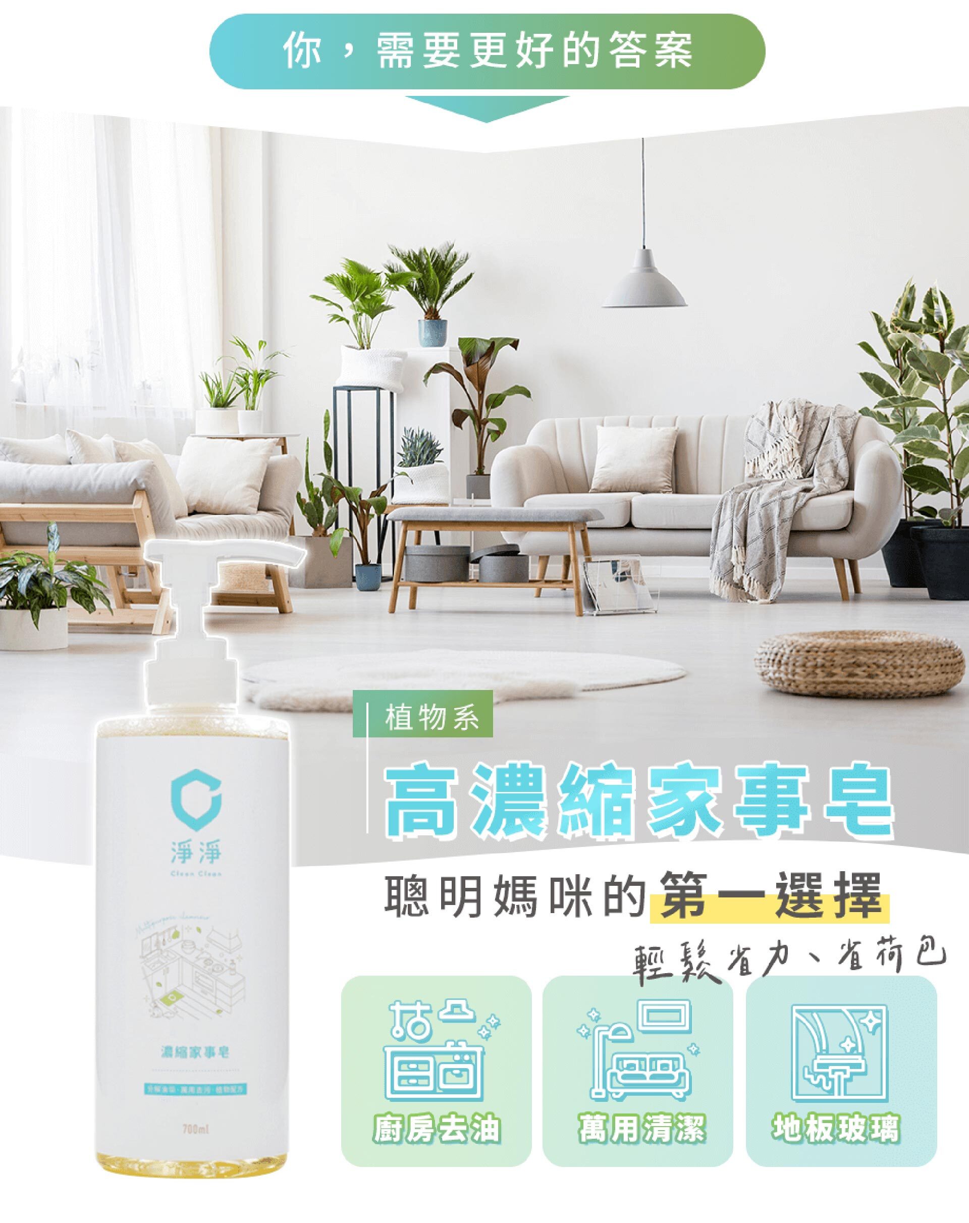 淨淨濃縮家事皂