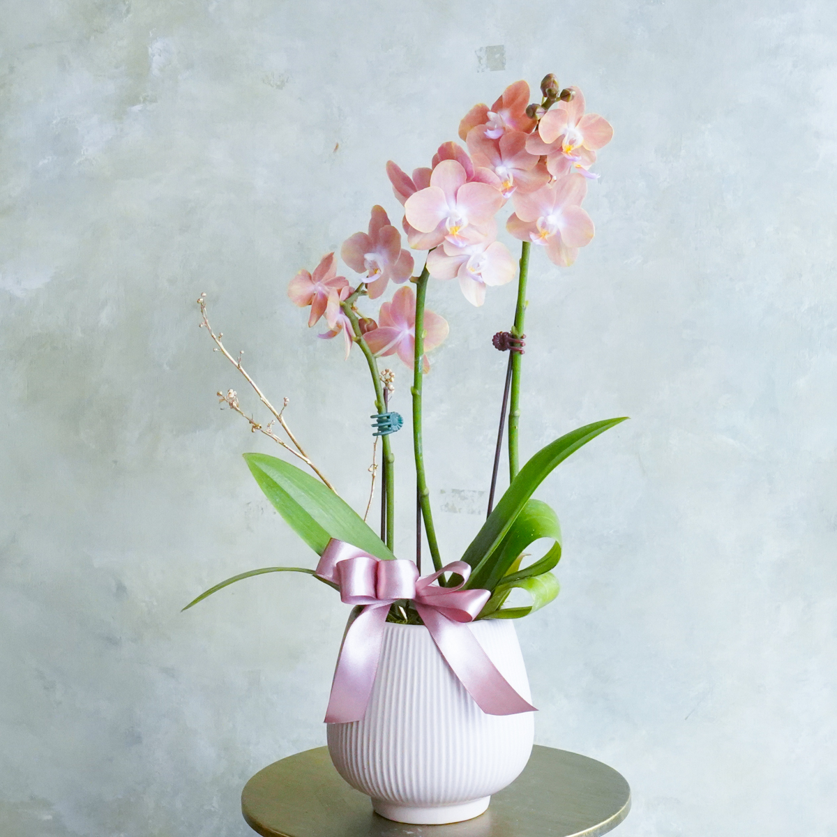 蝴蝶蘭,蘭花橘粉色蘭花,蝴蝶蘭推薦,新年蘭花推薦台北,蘭花外送服務