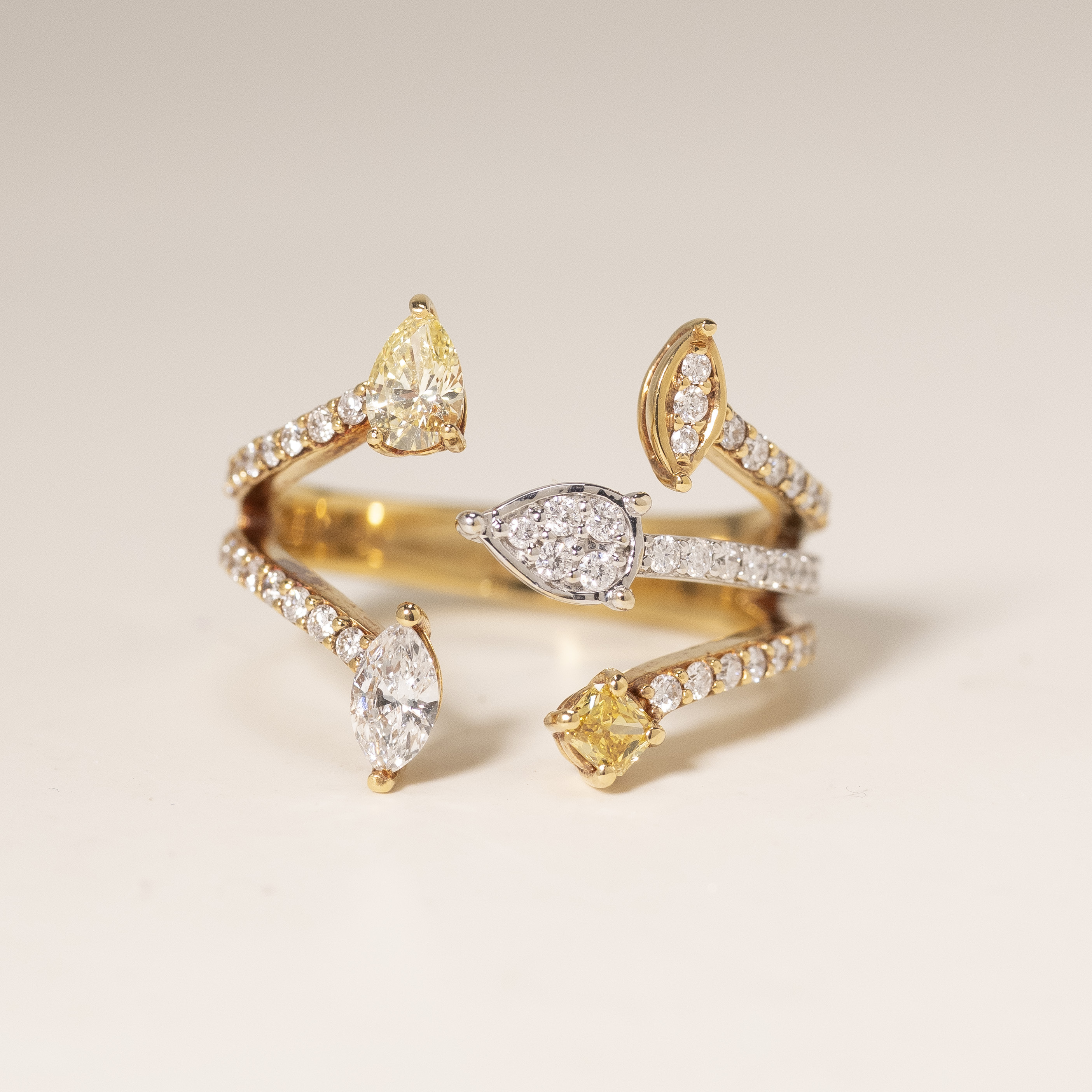 18K Diverse Diamond Ring