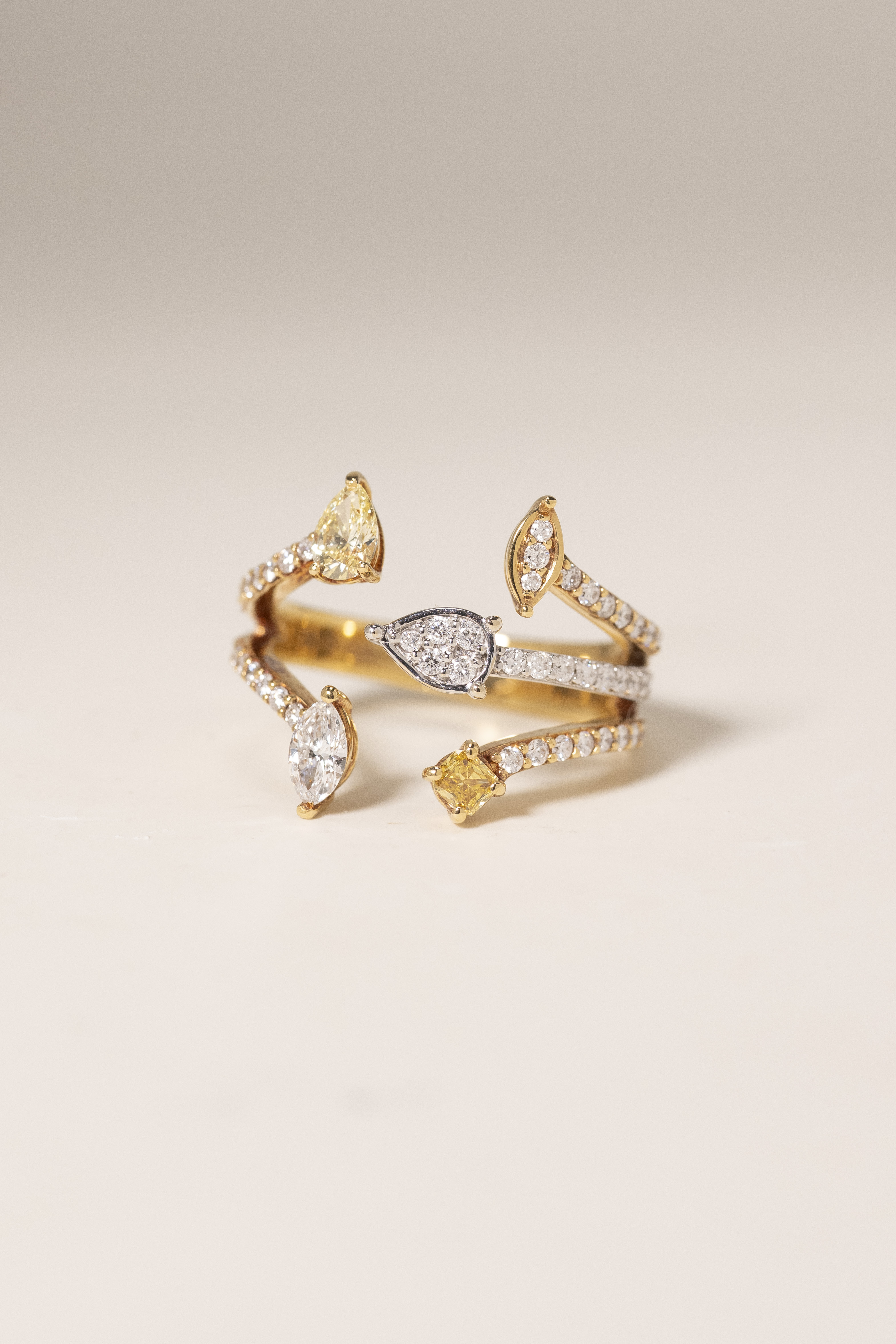 18K Diverse Diamond Ring