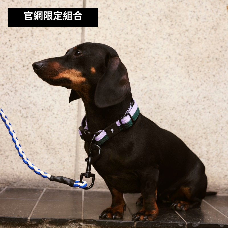 HAY Dogs 萌寵散步組合