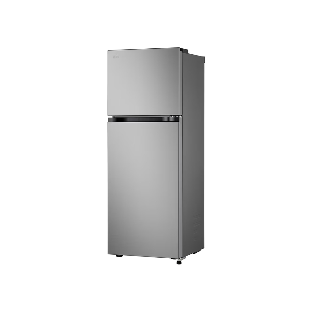 LG | 243公升 智慧變頻雙門冰箱｜星辰銀 GN-L243SVN