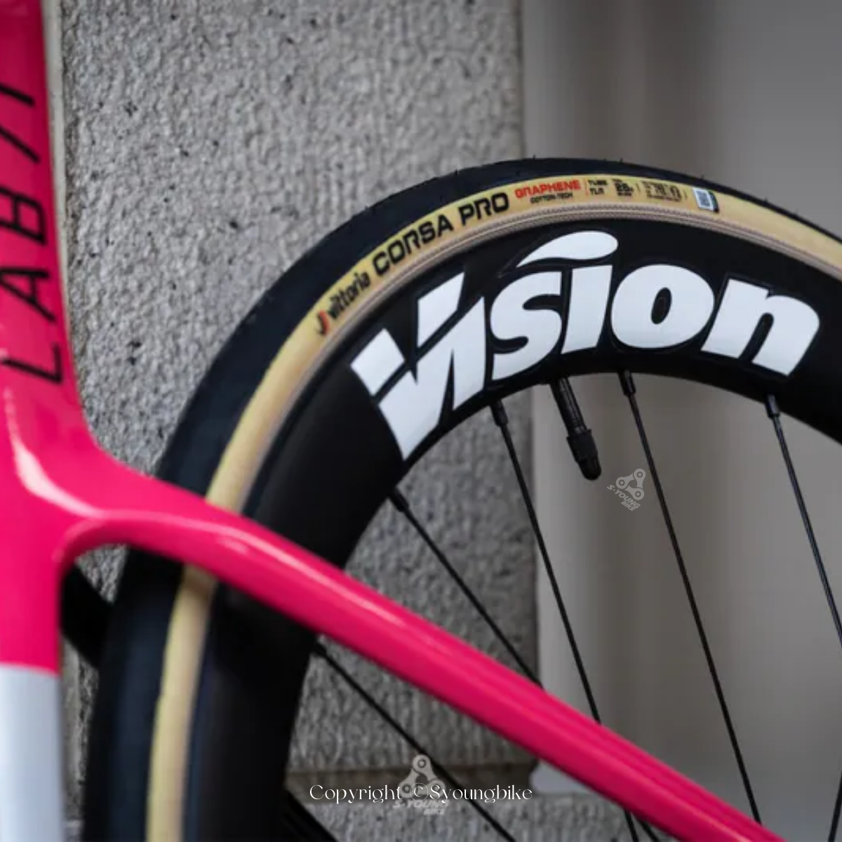 巡揚新春【Vittoria x Schwalbe】Corsa PRO TLR 無內胎 + SCV 快拆氣嘴套組