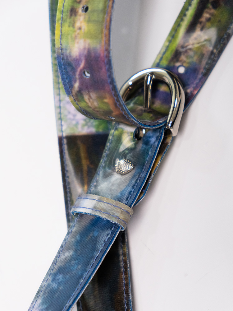 Lenticular Landscape Belt