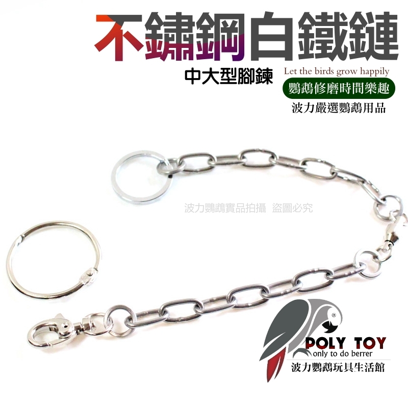中大型腳鍊 不鏽鋼白鐵鏈 鈦鋼接環 站台鏈 死環 外出繩 白鐵鏈 波力鸚鵡玩具生活館