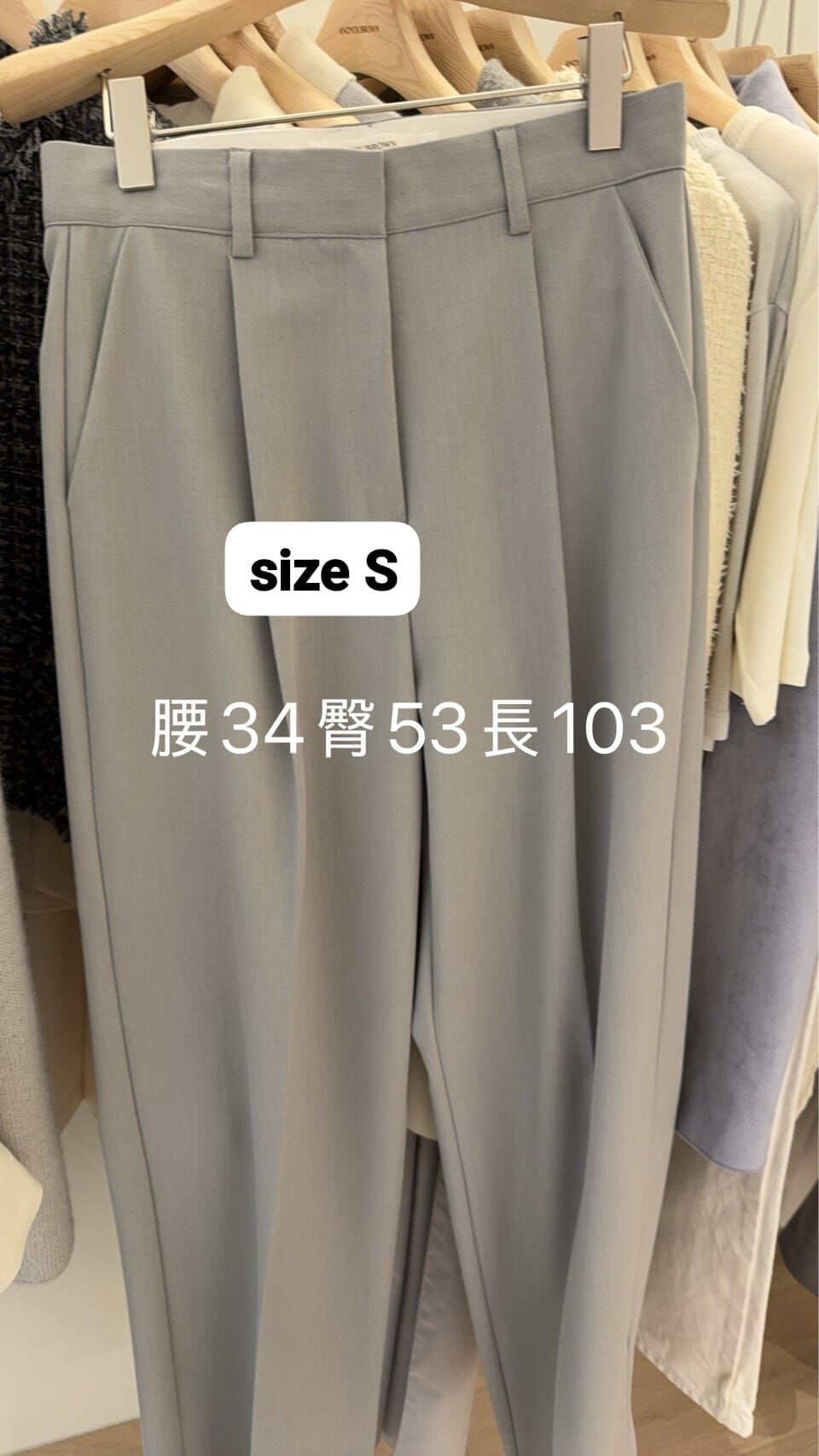 AY5509 壓褶收腳西褲 *特價* (充值購物金不適用)