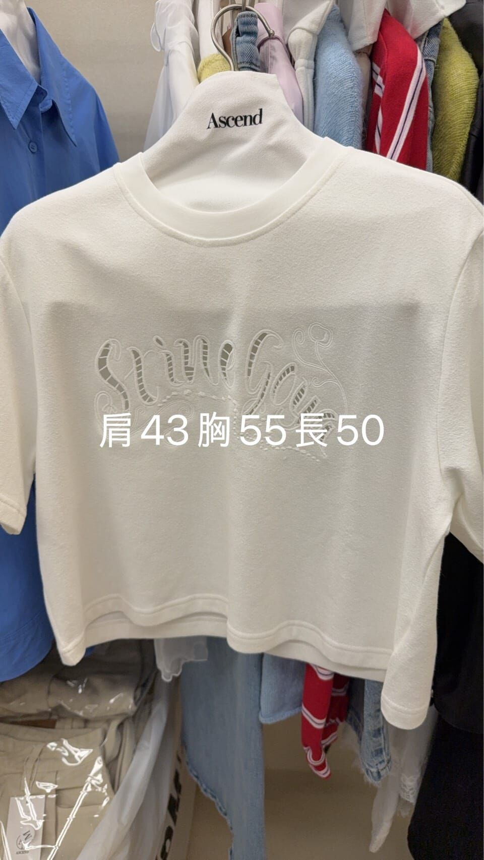 AC5510 字母刺繡短Tee *特價* (充值購物金不適用)