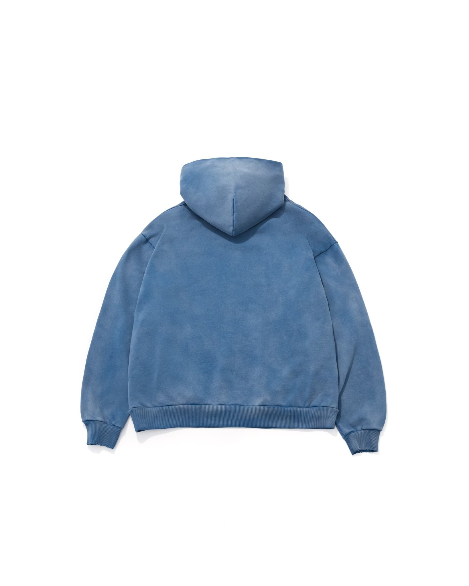 AES SKULL T-REX VINTAGE WASHED HOODIE