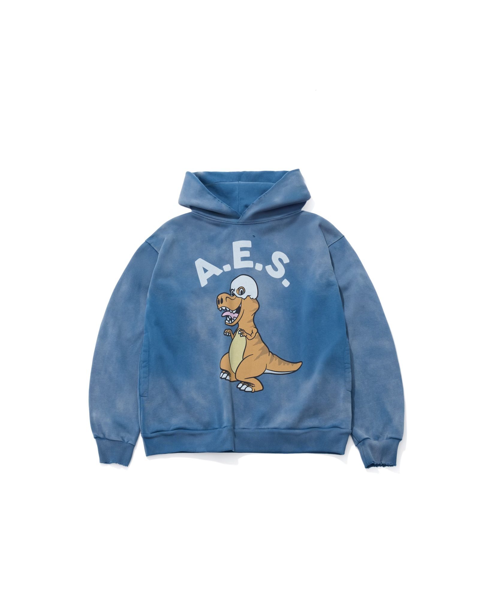 AES SKULL T-REX VINTAGE WASHED HOODIE