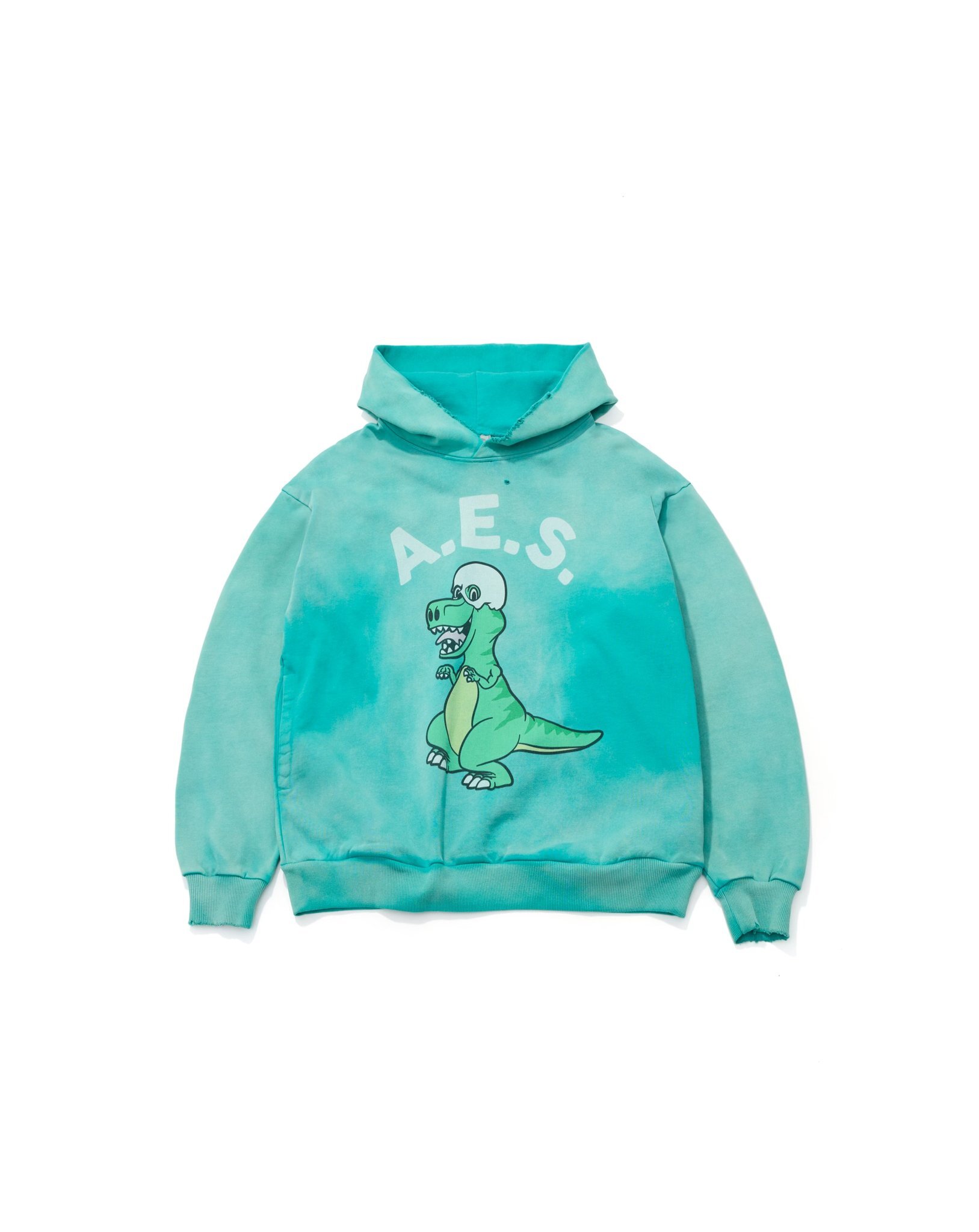 AES SKULL T-REX VINTAGE WASHED HOODIE