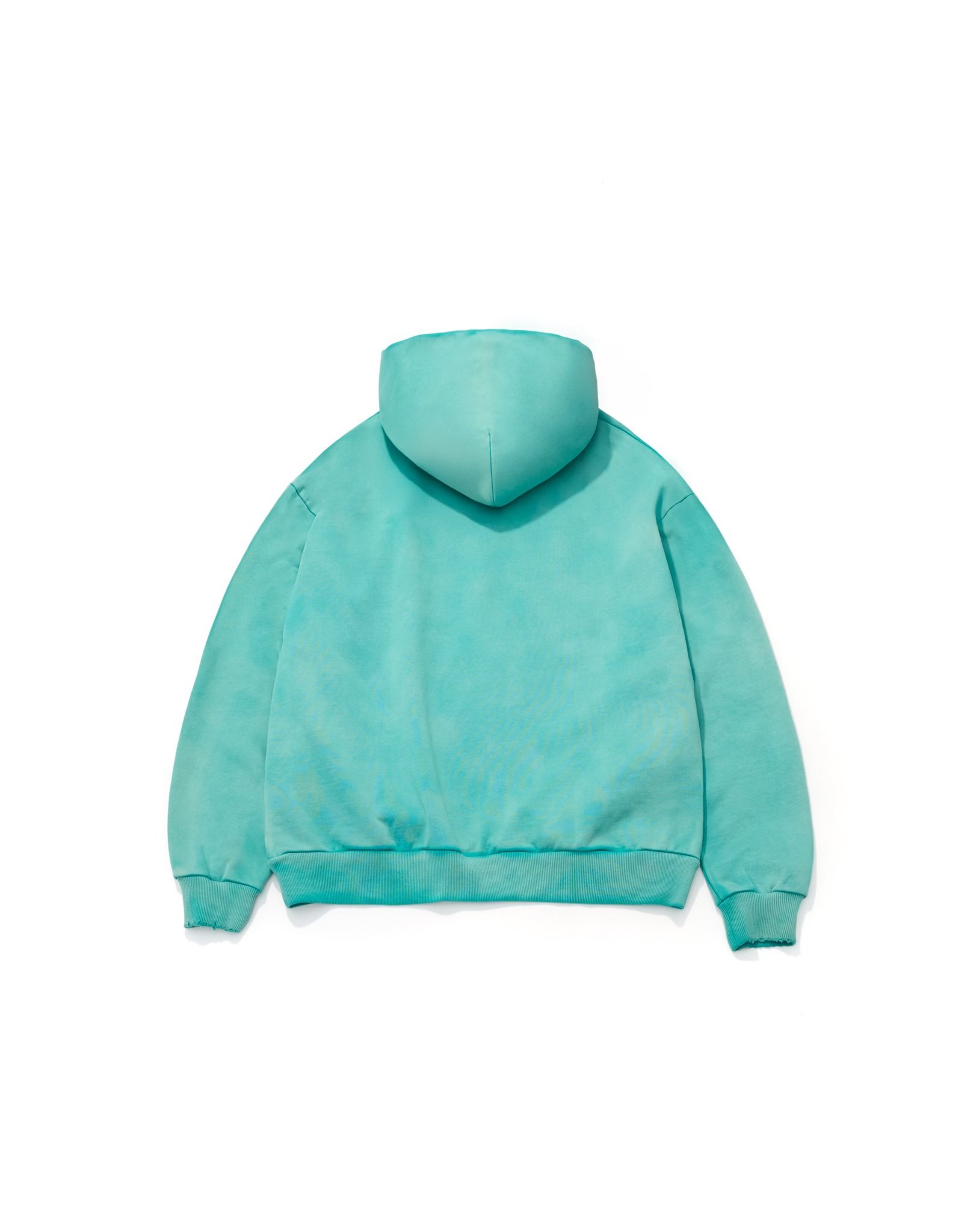 AES SKULL T-REX VINTAGE WASHED HOODIE