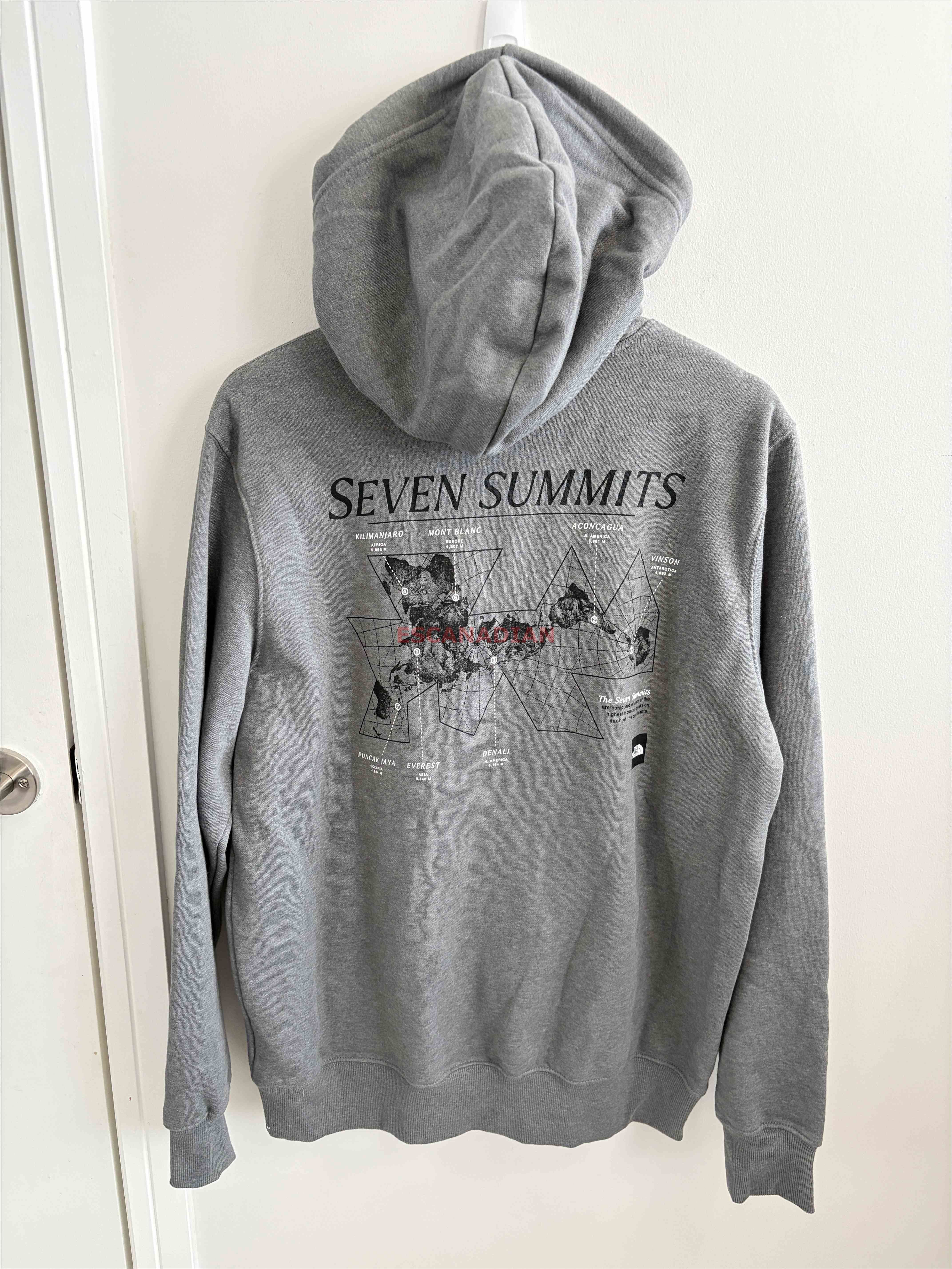 THE NORTH FACE 男大人 正反圖案 地圖 刷毛 帽TEE