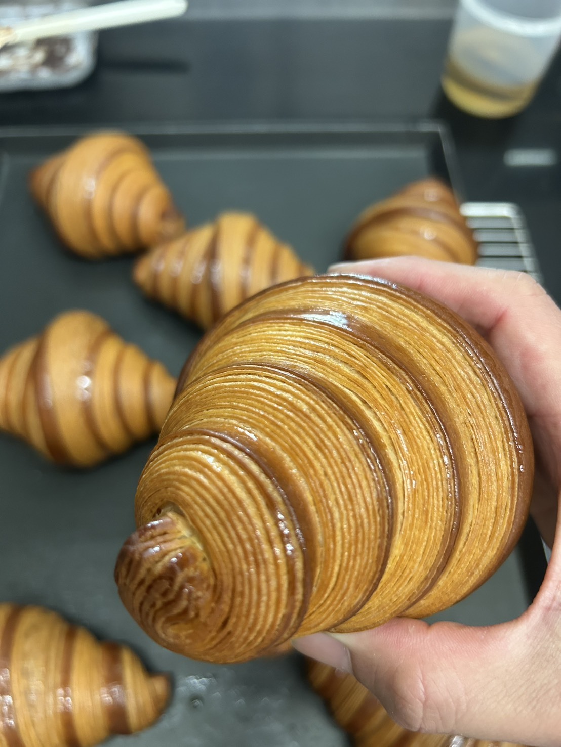 邊境法式點心坊 賴慶陽：邊境的極致美味《超人氣可頌專修班》(第5班)