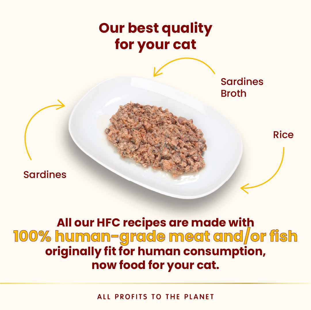 Almo Nature 貓鮮燉包 - HFC Highly Appetizing 開胃系列 50G