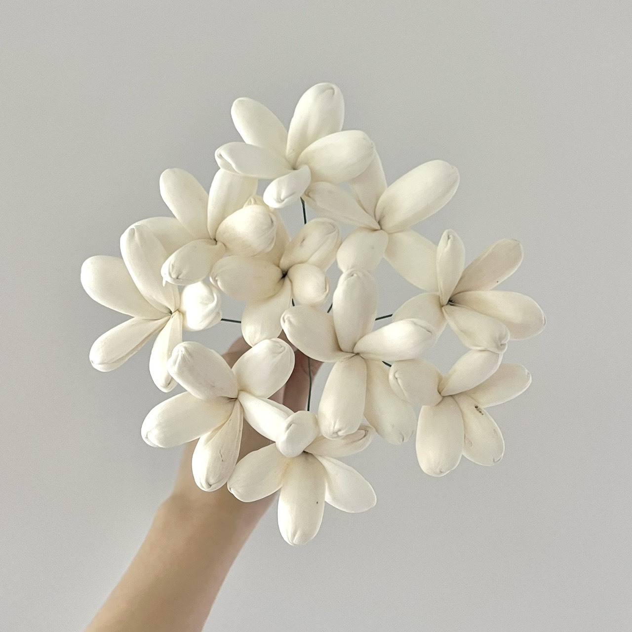 越南索拉花 茉莉花 6CM<十支一把>