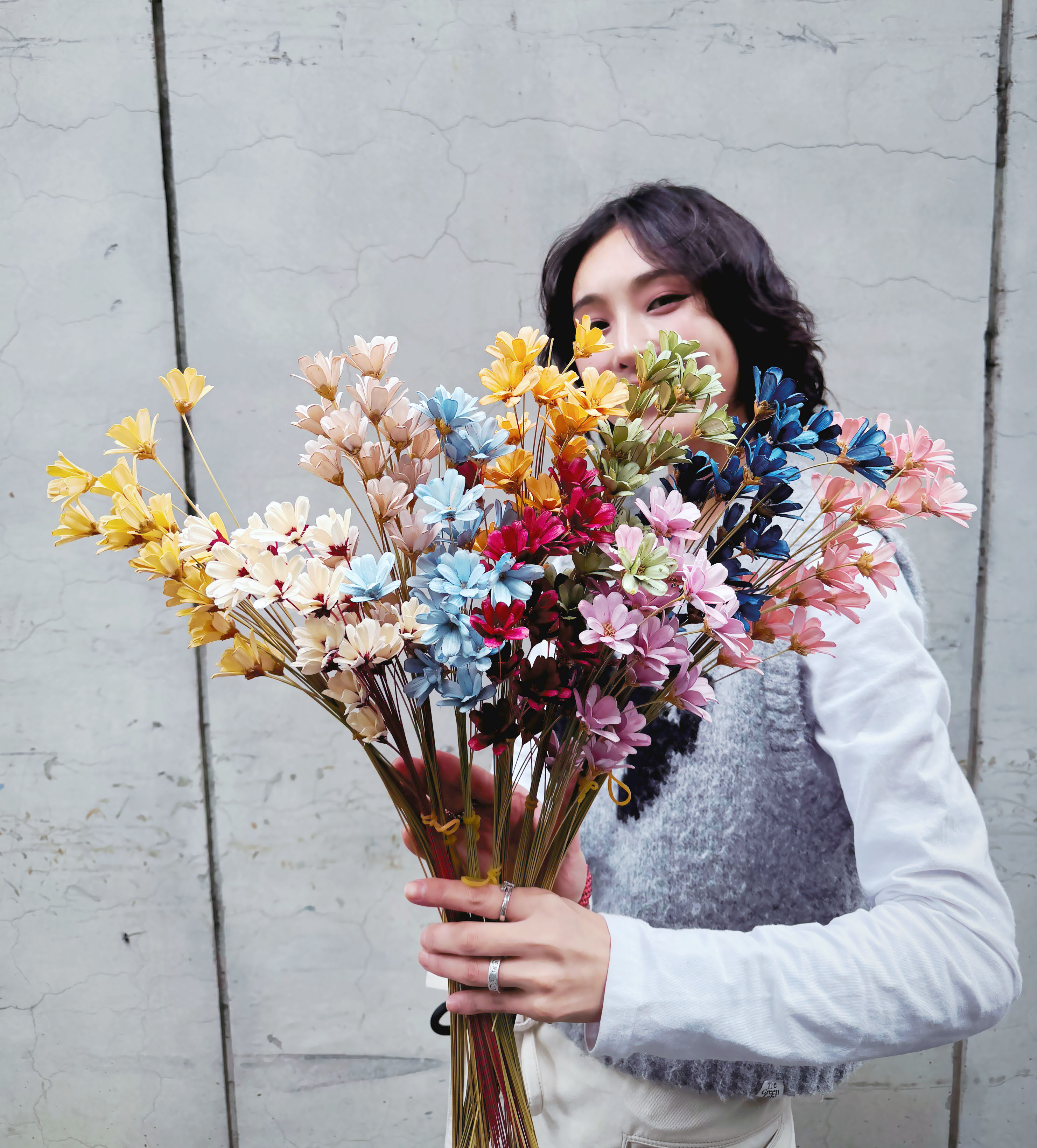 乾燥手工小雛菊（多色）