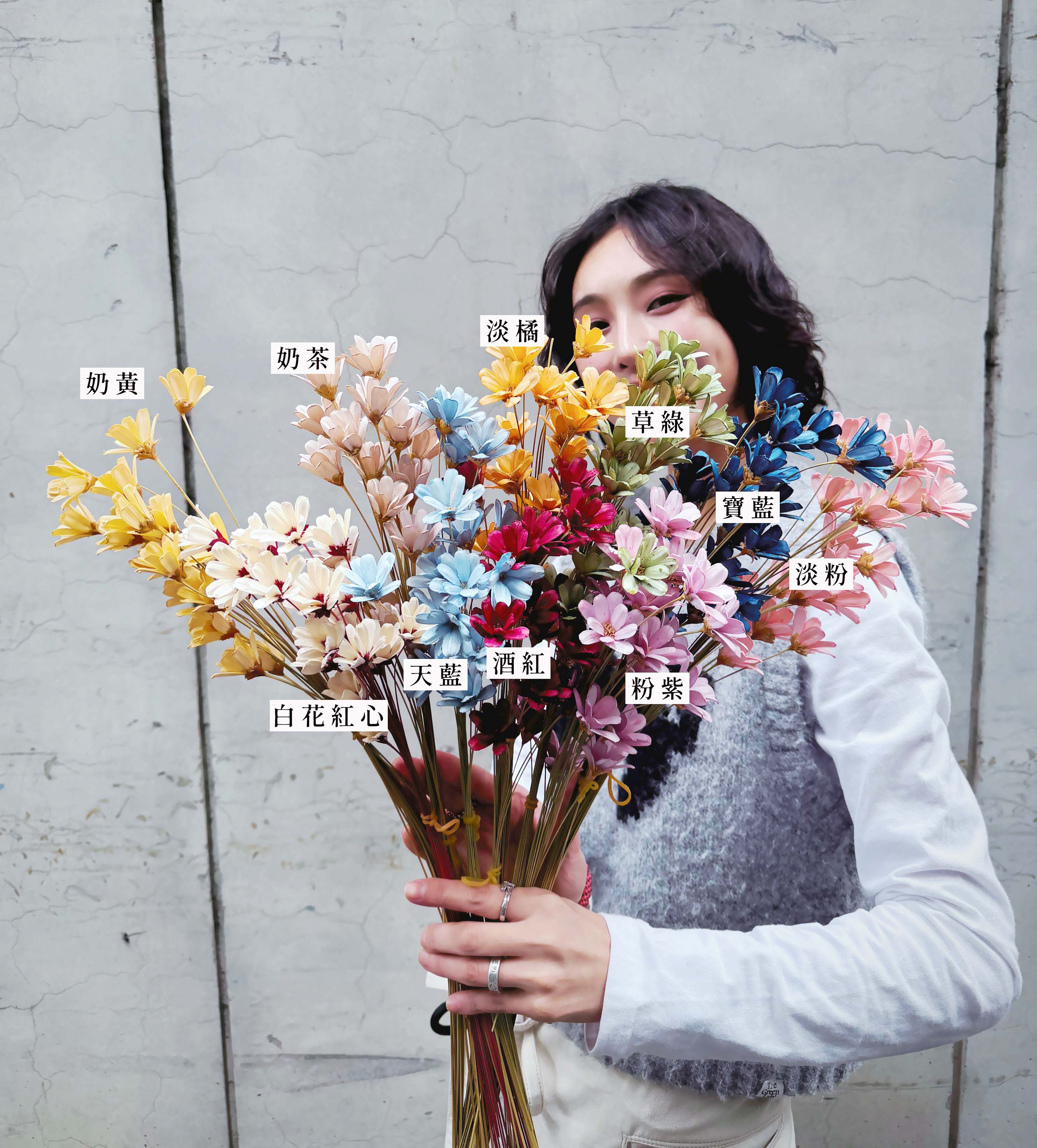 乾燥手工小雛菊（多色）